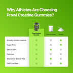 Sugar-Free Creatine Gummies