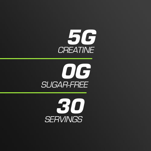 Sugar-Free Creatine Gummies